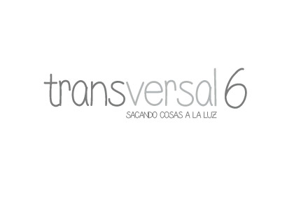 logo TRANSVERSAL 6